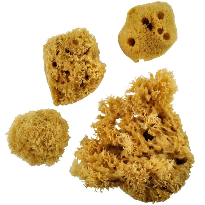 Buretele natural set de 4 buc