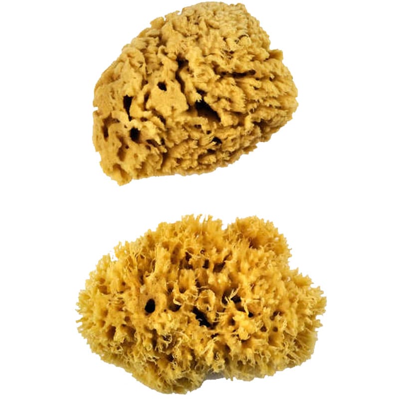 Burete de Spumă Naturală - Burete de Wave - Set XL - 2 buc
